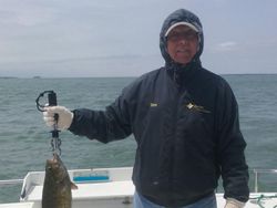 Fishing in Lake Erie Walleye hooked!