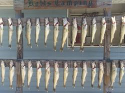 26 fish caught at Lakeside Marblehead