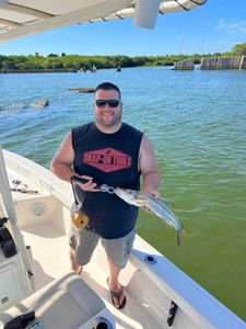 Snook Season in Florida, fishing charters 2023