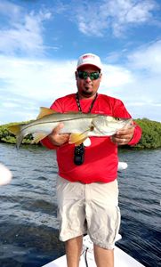 Snook Fishing in Tampa Bay at it's finest!