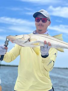 Snook in Gulf of Mexico