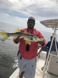 Tampa Bay Best Snook Fishing