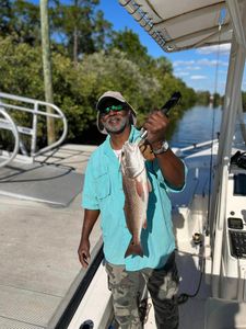 Florida Fishing charters, Redfish Run 2023