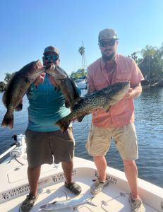 Unlock the Secrets of Grouper Fishing in Florida