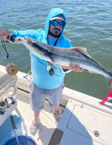 Florida Fishing Charters: Expertise Unleashed
