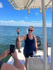 Gray Snapper in Bayport, fishing florida waters!