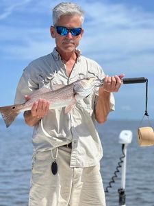 Premier Redfish Fishing in Tampa Bay
