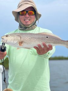 Redfish Fishing in Gulf of Mexico