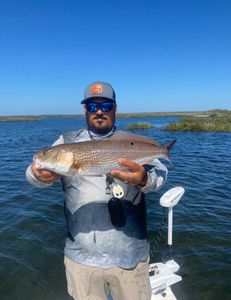 Redfish Florida: Your Ultimate Angling Experience!