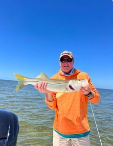 Snook Fishing Magic in Florida!