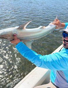 Dive into Inshore Fishing Bliss in Florida