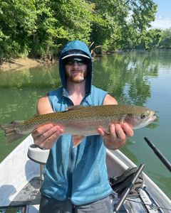 Hooked a Nice Rainbow Trout in Green River