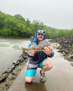 Best Fishing Charter In Kentucky 