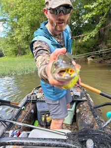 Smallies sipping on poppers!