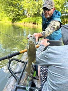 Keep this Smallmouth Bass coming 