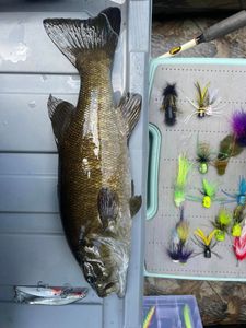 Fresh out of Kentucky Waters