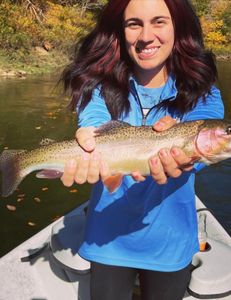 Solid Cumberland Rainbow Trout!