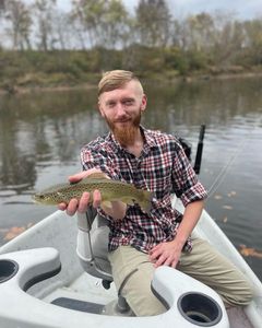 Misty morning, trout serenade