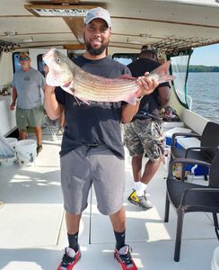 Hooked on Striped Bass, Explore MD's Fishing!