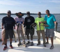 Striper Fishing Adventures Await