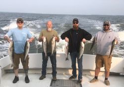 Seven striped bass caught while fishing in MD