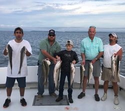 8 fish caught by 5 people in Chestertown during fishing trip