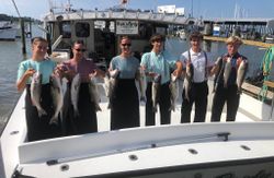 Eight striped bass caught while fishing in MD