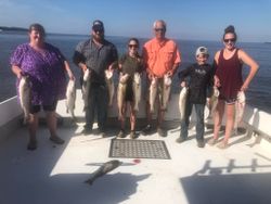 10 striped bass caught in MD