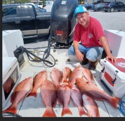 Image of 5 greater amberjack fishing in FL