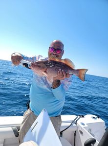 Angler reeling in a Red Grouper in Panama City