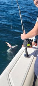 An angler fishing in Florida