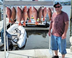 9 grey snapper and mangrove red snapper caught while fishing in FL