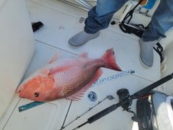 Fishing in Panama City