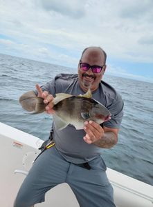 Anglers with a grey triggerfish catch in Panama City