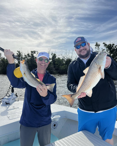 Two spotted weakfish, 21 inches long, caught at Fort Myers Beach, Florida