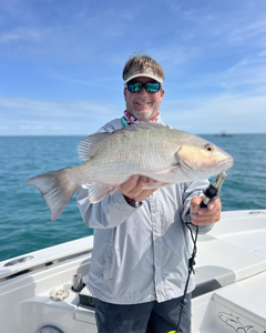 Mangrove red snapper fishing in FL