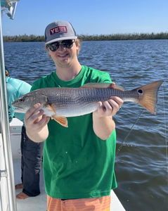 Redfish caught at Fort Myers Beach