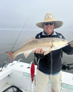 Redfish caught at Fort Myers Beach