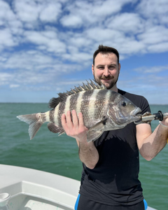 Sheepshead fish caught in FL