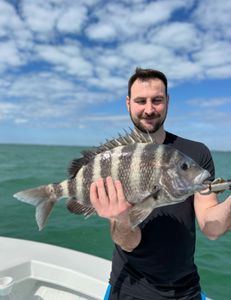Photo of a 23-inch sheepshead fish caught while fishing in FL