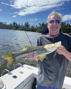 Snook, a large fish caught while fishing at Fort Myers Beach