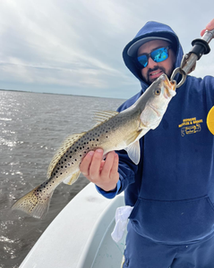 Spotted Weakfish caught while fishing at Fort Myers Beach