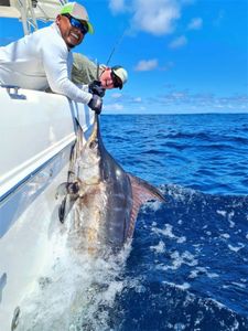 Beautiful Marlin on display!!
