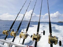 Fishing cruises in PR