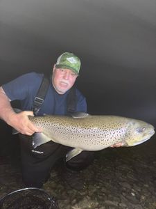 Best Brown Trout Fishing Trip in Branson, MO