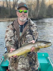Branson Fishing for Brown Trout