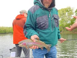 Rainbow Trout Fishing in Branson!