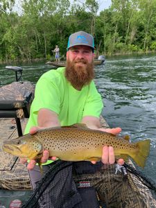 Brown Trout Caught in Branson Waters 2022