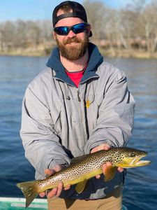 Trout Fishing in Branson, MO