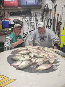 Northern missouri crappie